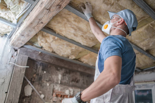Best Energy Efficiency Insulation in Coaldale, PA